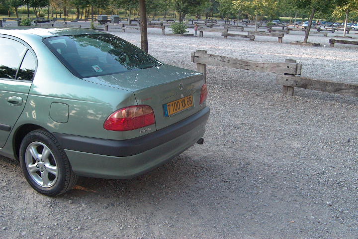 Bergam & ses Avensis Arriere